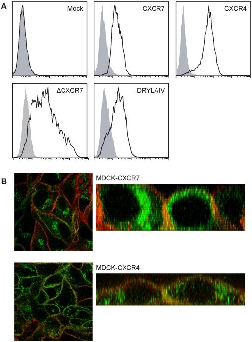 https://cdn.ncbi.nlm.nih.gov/pmc/blobs/f10d/2820091/e23d62f31e01/pone.0009175.g002.jpg
