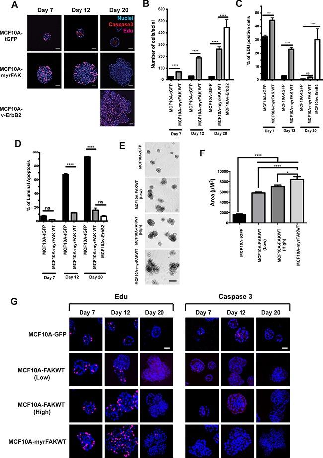 https://cdn.ncbi.nlm.nih.gov/pmc/blobs/f10f/5342556/eb97b55c640a/oncotarget-07-70336-g003.jpg