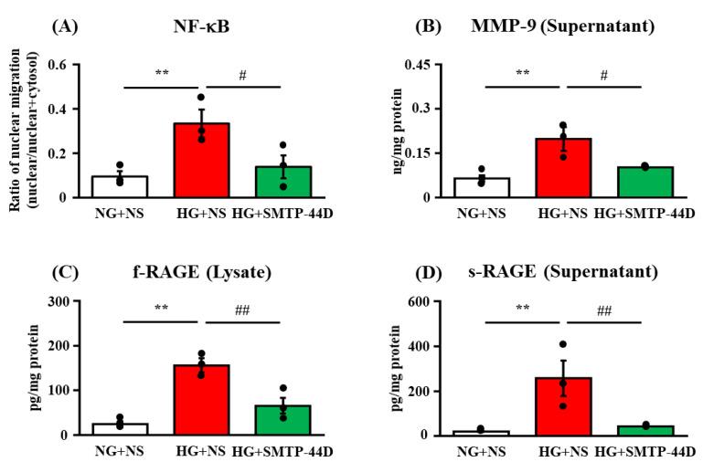 https://cdn.ncbi.nlm.nih.gov/pmc/blobs/f10f/9104197/e6d04601fac1/ijms-23-05187-g002.jpg
