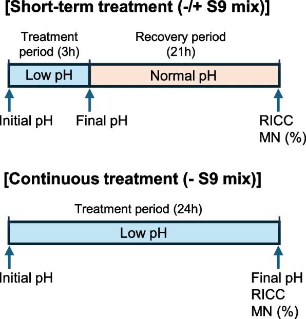 https://cdn.ncbi.nlm.nih.gov/pmc/blobs/f111/11654278/f8f21ca5869a/41021_2024_320_Fig1_HTML.jpg