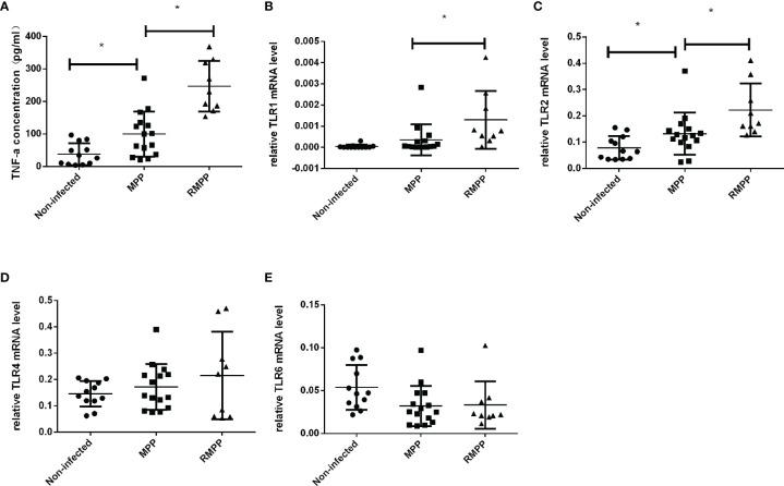https://cdn.ncbi.nlm.nih.gov/pmc/blobs/f112/8968444/3017a93bbf03/fcimb-12-824027-g001.jpg