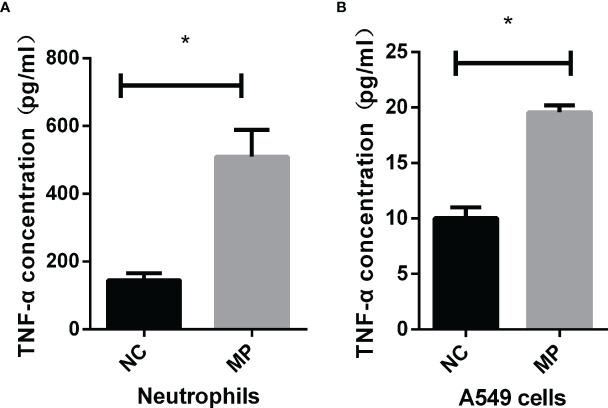https://cdn.ncbi.nlm.nih.gov/pmc/blobs/f112/8968444/50cc54e06b7e/fcimb-12-824027-g002.jpg