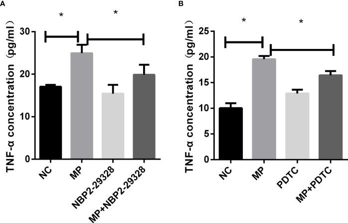 https://cdn.ncbi.nlm.nih.gov/pmc/blobs/f112/8968444/7fff9e9ee05e/fcimb-12-824027-g005.jpg