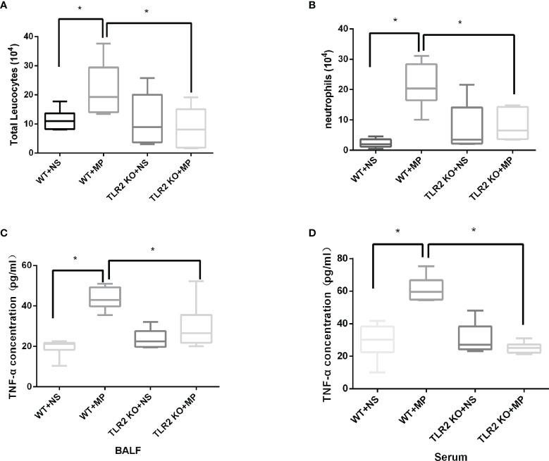 https://cdn.ncbi.nlm.nih.gov/pmc/blobs/f112/8968444/9d1d0fd45ac8/fcimb-12-824027-g006.jpg