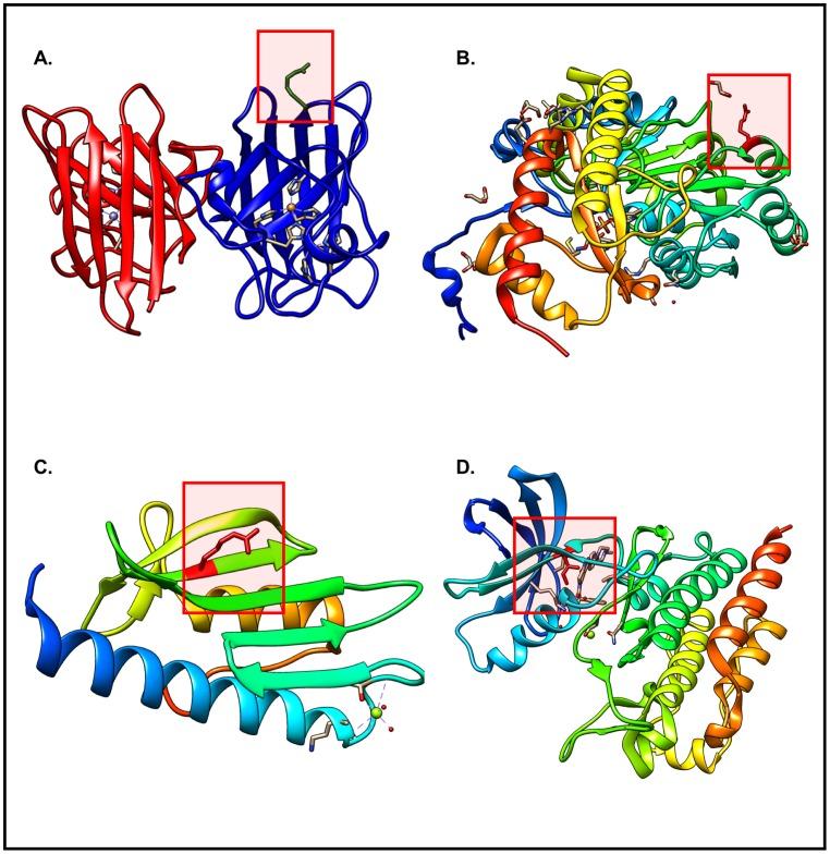 https://cdn.ncbi.nlm.nih.gov/pmc/blobs/f114/5351996/8b0e2d5706a2/pone.0171355.g002.jpg