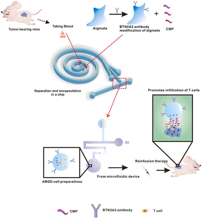 https://cdn.ncbi.nlm.nih.gov/pmc/blobs/f115/11869011/65f936d49b92/ga1.jpg
