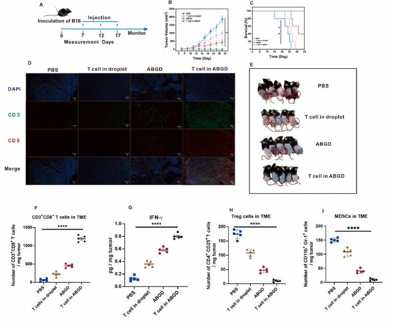 https://cdn.ncbi.nlm.nih.gov/pmc/blobs/f115/11869011/6a87d3433c71/gr4.jpg