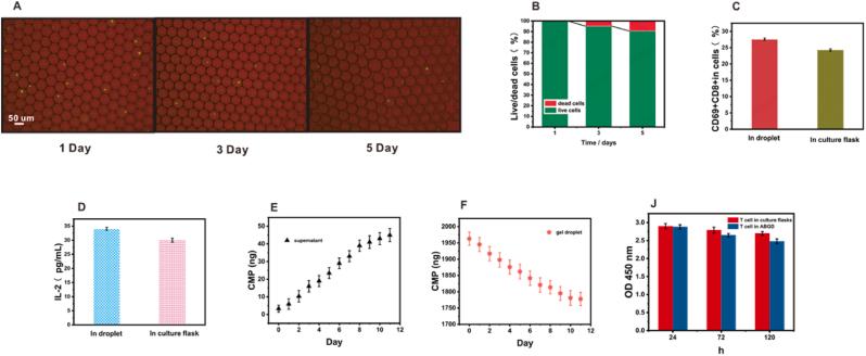https://cdn.ncbi.nlm.nih.gov/pmc/blobs/f115/11869011/d468d91d3dfe/gr3.jpg