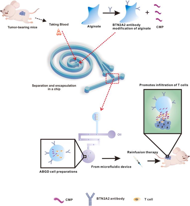 https://cdn.ncbi.nlm.nih.gov/pmc/blobs/f115/11869011/f14ca537219f/sc1.jpg
