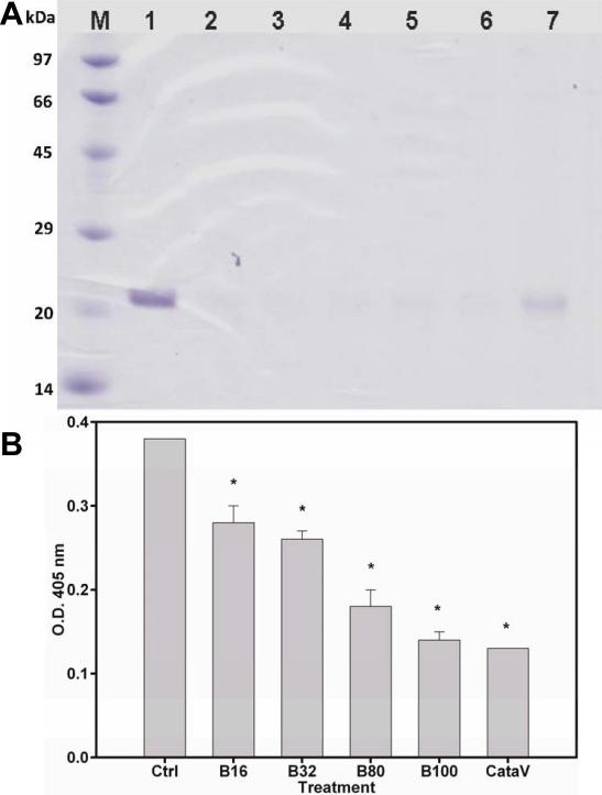 https://cdn.ncbi.nlm.nih.gov/pmc/blobs/f115/3144730/94ffd342dfa6/mv-v17-1862-f1.jpg