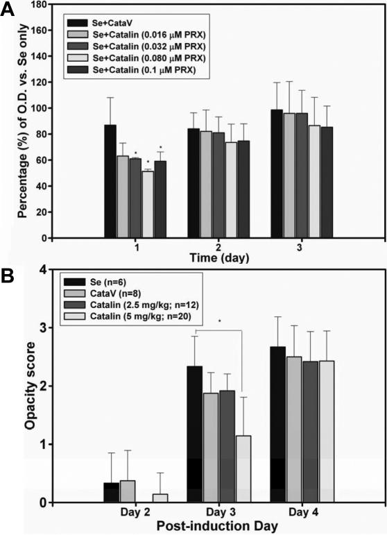 https://cdn.ncbi.nlm.nih.gov/pmc/blobs/f115/3144730/f444018825da/mv-v17-1862-f4.jpg