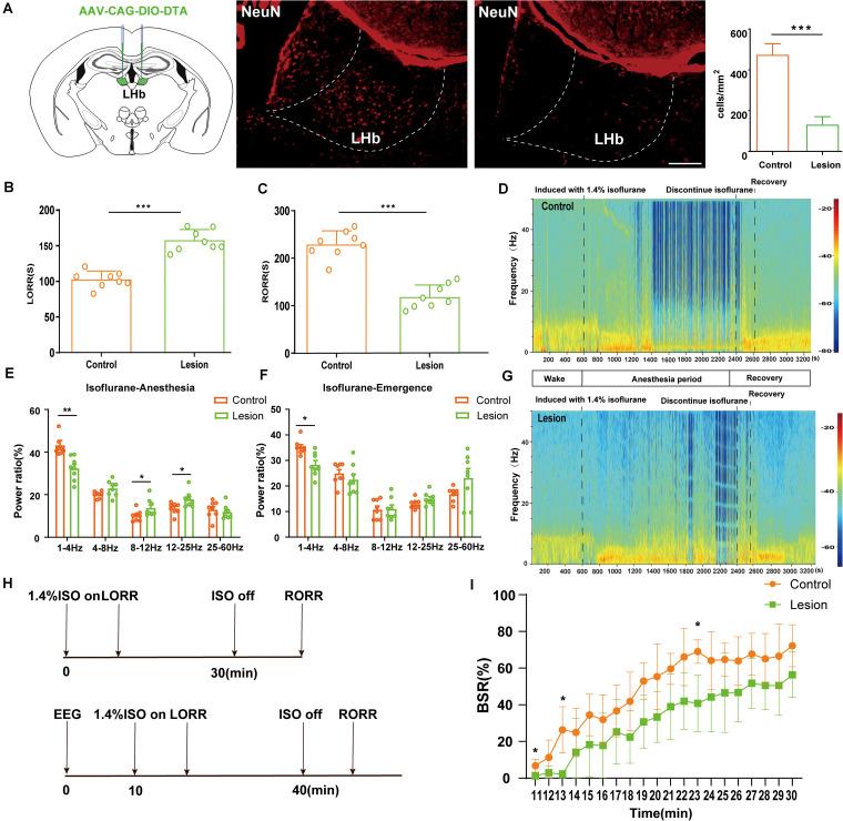 https://cdn.ncbi.nlm.nih.gov/pmc/blobs/f115/7969819/aa41ac2a6906/fnmol-14-628996-g002.jpg