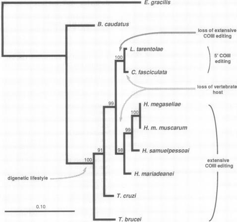 https://cdn.ncbi.nlm.nih.gov/pmc/blobs/f116/521424/a5702c6c4030/pnas01125-0096-a.jpg