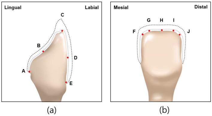 https://cdn.ncbi.nlm.nih.gov/pmc/blobs/f117/11673710/425f29aa0841/biomimetics-09-00728-g005.jpg