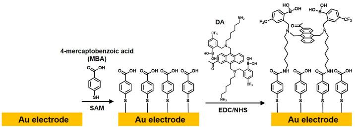 https://cdn.ncbi.nlm.nih.gov/pmc/blobs/f117/9954471/2762ad27ed2d/biosensors-13-00248-sch002.jpg