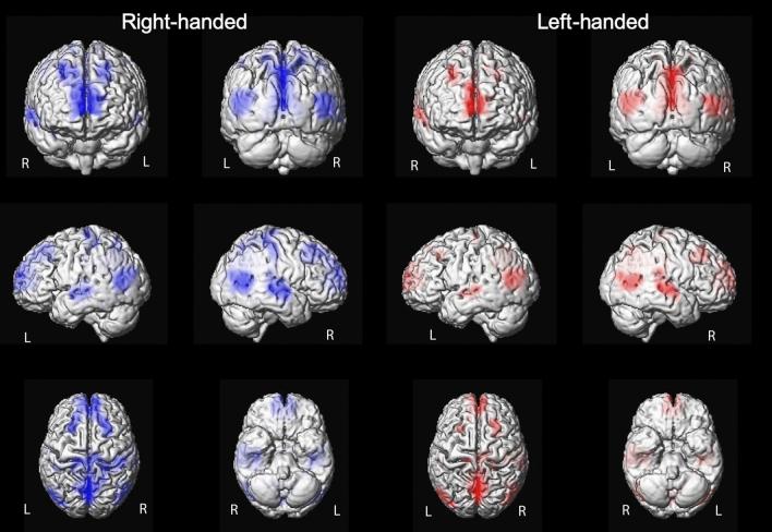 https://cdn.ncbi.nlm.nih.gov/pmc/blobs/f118/8536719/41aa368d7586/41598_2021_490_Fig2_HTML.jpg