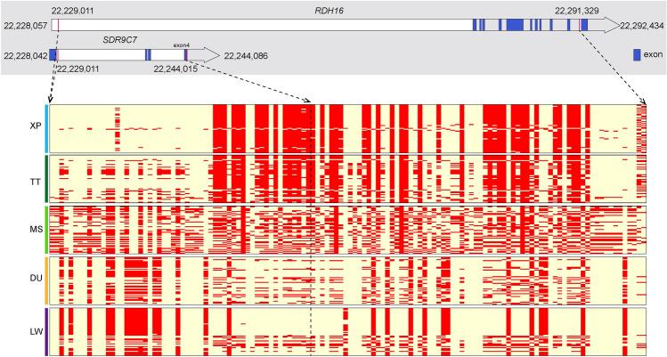 https://cdn.ncbi.nlm.nih.gov/pmc/blobs/f119/9276726/2c8127ad04d4/41598_2022_14686_Fig7_HTML.jpg