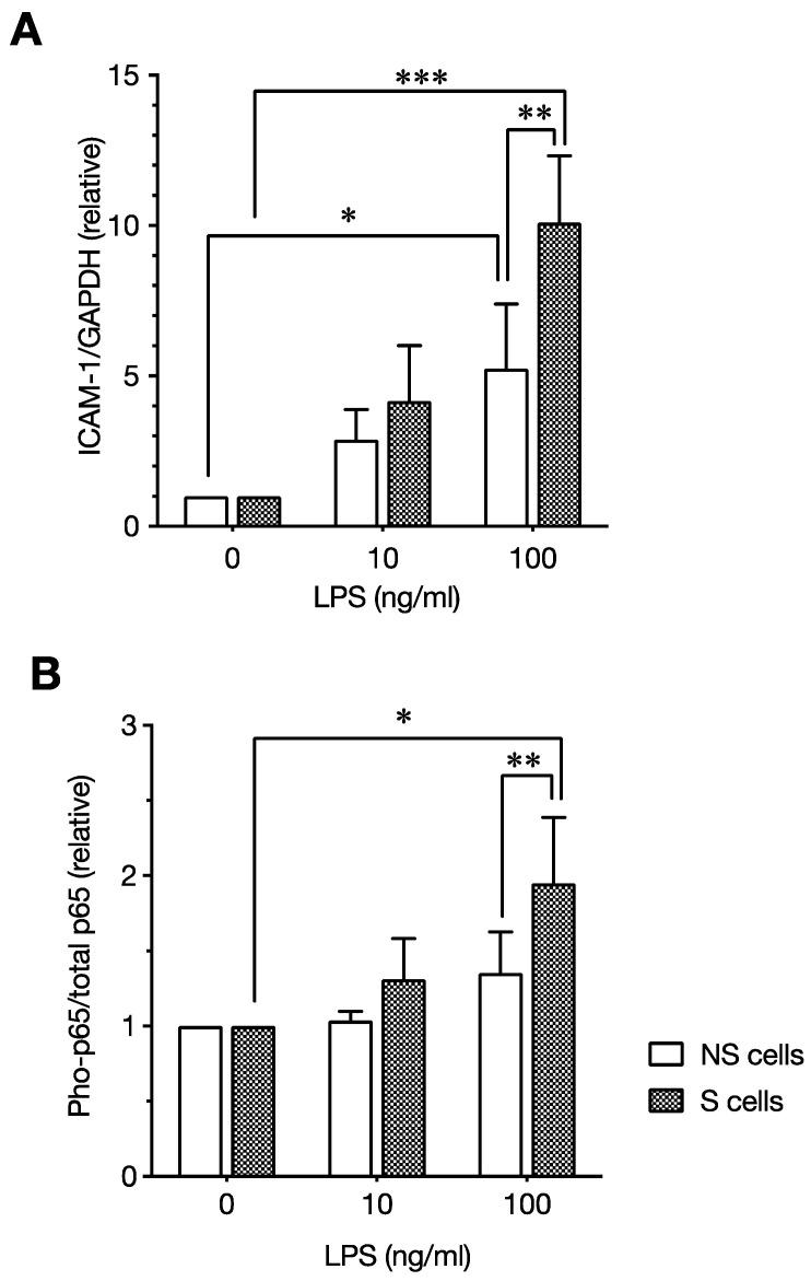 https://cdn.ncbi.nlm.nih.gov/pmc/blobs/f11a/9569556/5514584056c4/ijms-23-11148-g003.jpg