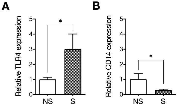 https://cdn.ncbi.nlm.nih.gov/pmc/blobs/f11a/9569556/e0b2ade1e9b3/ijms-23-11148-g004.jpg
