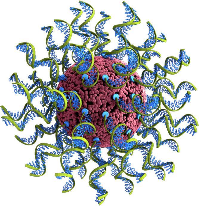 https://cdn.ncbi.nlm.nih.gov/pmc/blobs/f11d/9792500/131dc8c1c4d9/fimmu-13-1073777-g001.jpg