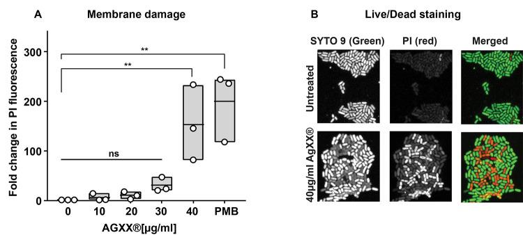 https://cdn.ncbi.nlm.nih.gov/pmc/blobs/f11e/12188735/6010b3241534/msphere.00017-25.f002.jpg