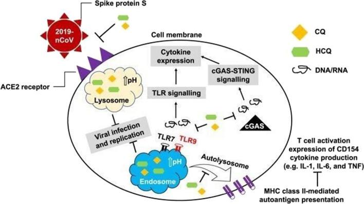 https://cdn.ncbi.nlm.nih.gov/pmc/blobs/f120/7756937/beb65f0c9b1f/12936_2020_3541_Fig2_HTML.jpg