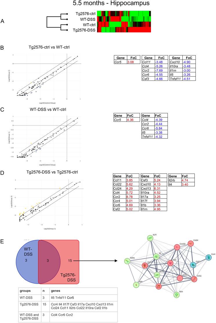 https://cdn.ncbi.nlm.nih.gov/pmc/blobs/f123/11110243/51e016686297/13195_2024_1471_Fig5_HTML.jpg