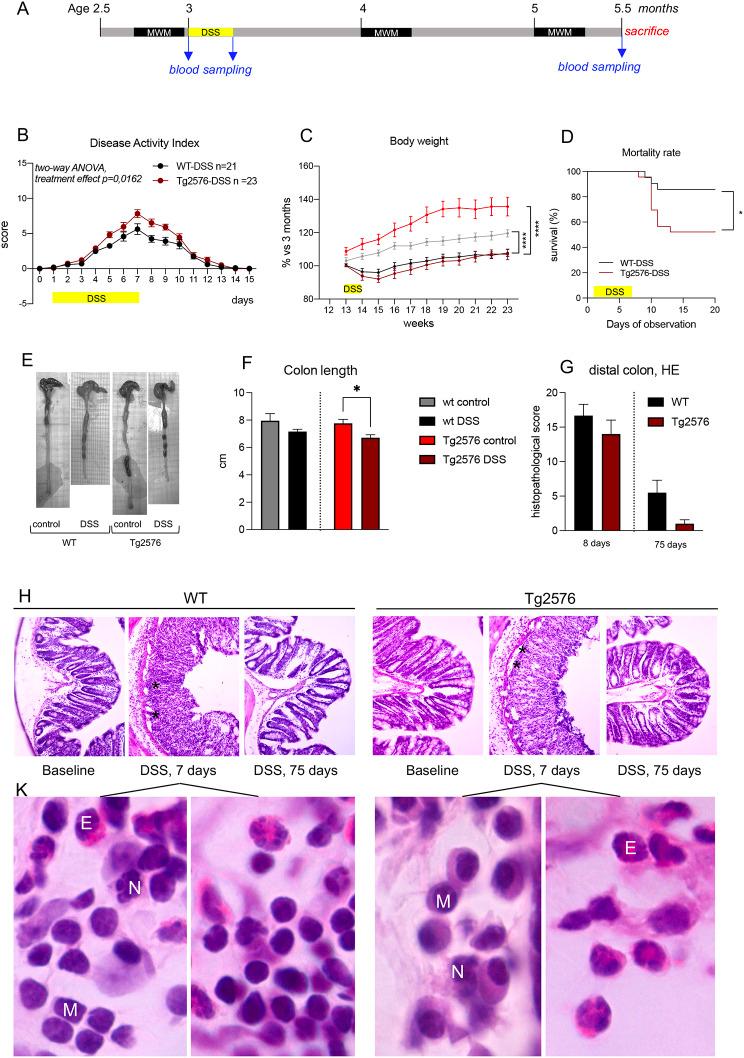 https://cdn.ncbi.nlm.nih.gov/pmc/blobs/f123/11110243/8f071da45623/13195_2024_1471_Fig1_HTML.jpg