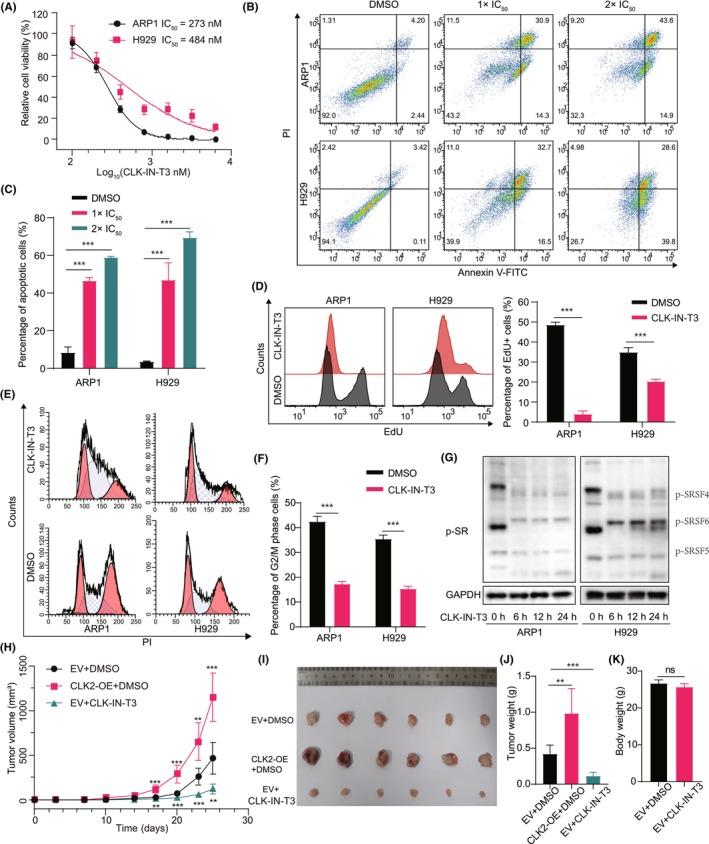 https://cdn.ncbi.nlm.nih.gov/pmc/blobs/f124/11711041/bf5e0b8fe94b/CAS-116-164-g002.jpg