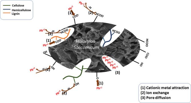 https://cdn.ncbi.nlm.nih.gov/pmc/blobs/f125/12126575/2df25c4ec973/41598_2025_3791_Fig14_HTML.jpg