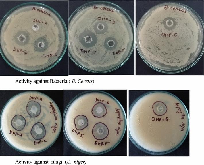 https://cdn.ncbi.nlm.nih.gov/pmc/blobs/f129/5686033/7705674ef47d/13065_2017_344_Fig6_HTML.jpg
