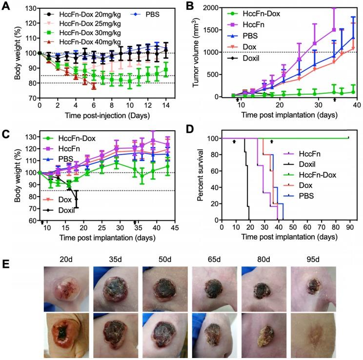 https://cdn.ncbi.nlm.nih.gov/pmc/blobs/f129/6531302/000940abae2d/thnov09p2167g005.jpg