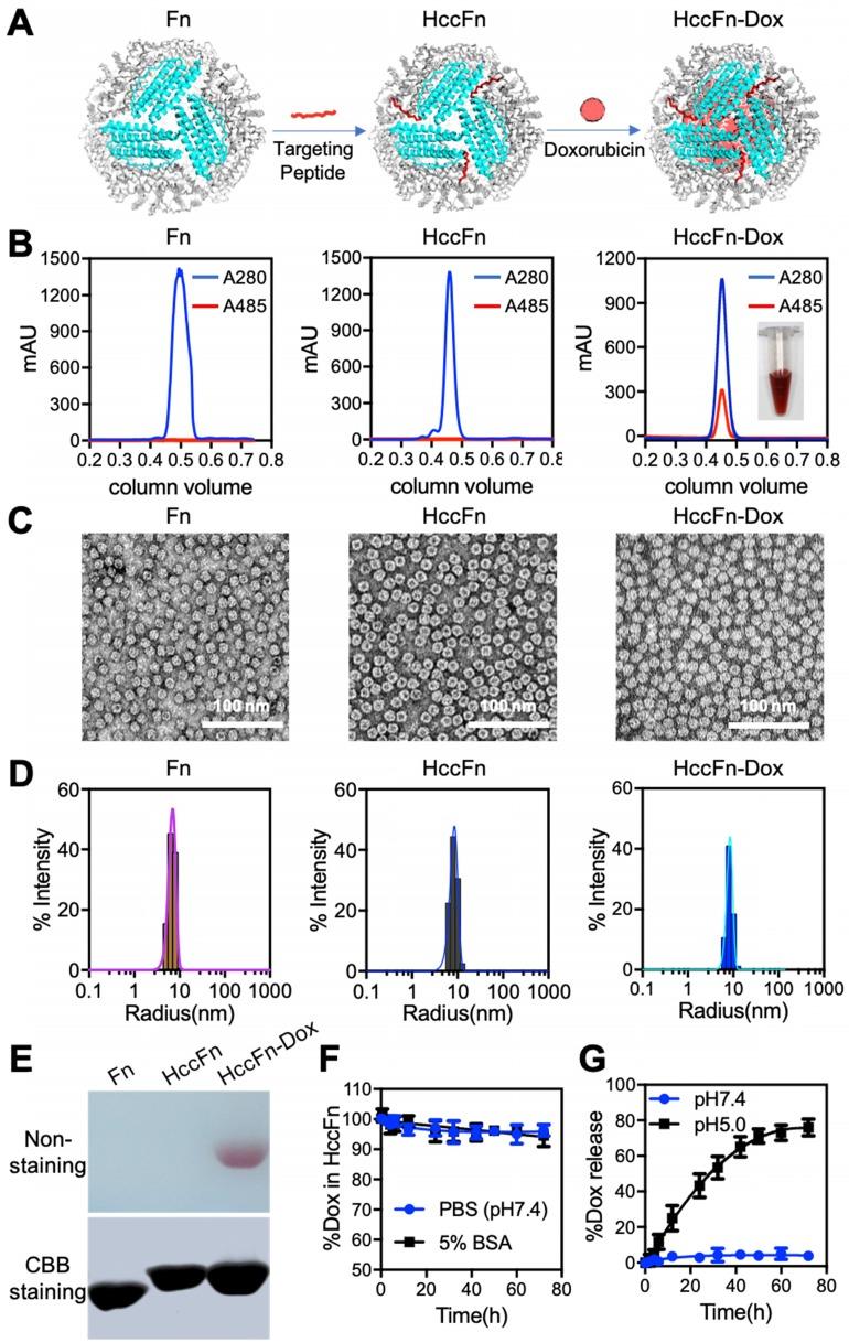 https://cdn.ncbi.nlm.nih.gov/pmc/blobs/f129/6531302/1fd3a47529a0/thnov09p2167g002.jpg