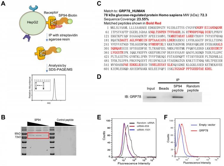 https://cdn.ncbi.nlm.nih.gov/pmc/blobs/f129/6531302/ecdc1811b042/thnov09p2167g001.jpg