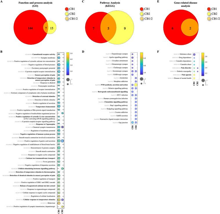 https://cdn.ncbi.nlm.nih.gov/pmc/blobs/f12a/10924854/5a84dec0ddea/41598_2024_56220_Fig5_HTML.jpg