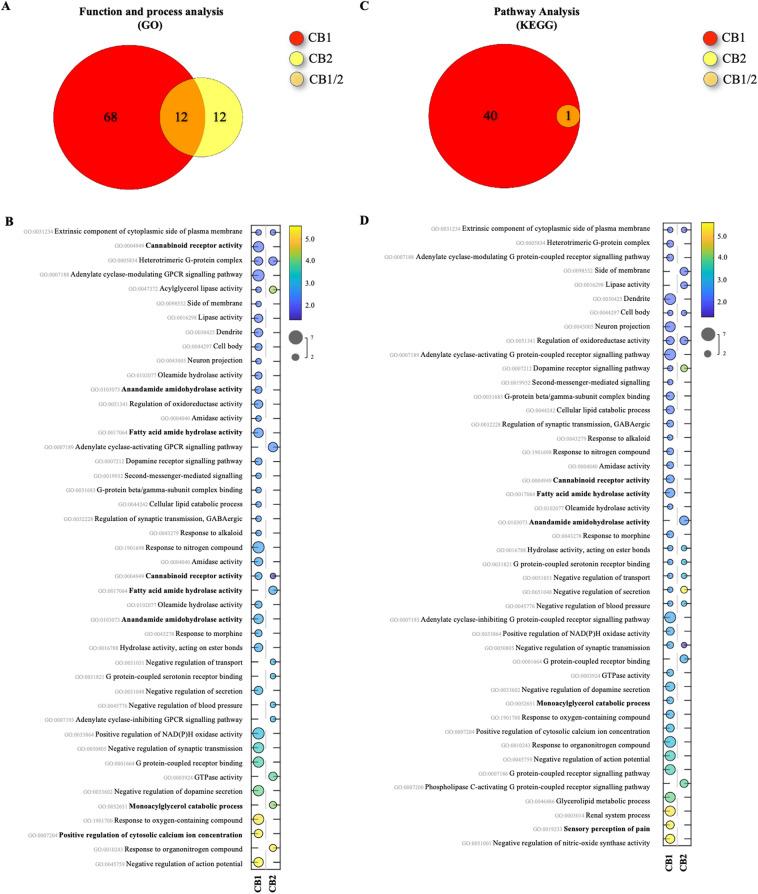 https://cdn.ncbi.nlm.nih.gov/pmc/blobs/f12a/10924854/6c714c20bb3b/41598_2024_56220_Fig4_HTML.jpg