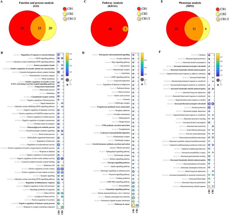 https://cdn.ncbi.nlm.nih.gov/pmc/blobs/f12a/10924854/94161329ad43/41598_2024_56220_Fig3_HTML.jpg