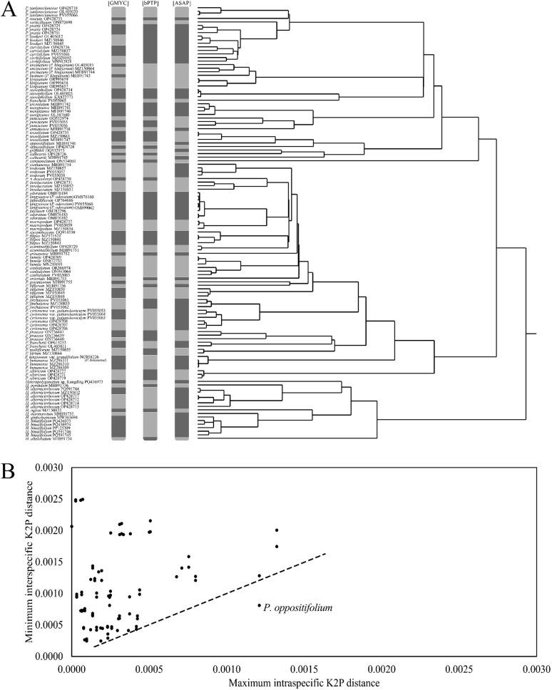 https://cdn.ncbi.nlm.nih.gov/pmc/blobs/f12a/12403319/5f7e8bce0ba7/12864_2025_12012_Fig3_HTML.jpg