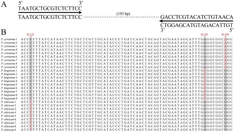https://cdn.ncbi.nlm.nih.gov/pmc/blobs/f12a/12403319/8c7bc8f4ae63/12864_2025_12012_Fig6_HTML.jpg