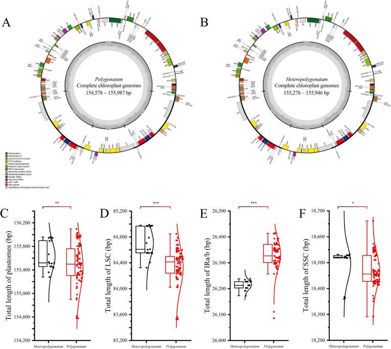 https://cdn.ncbi.nlm.nih.gov/pmc/blobs/f12a/12403319/dc52f6cb5d4f/12864_2025_12012_Fig2_HTML.jpg