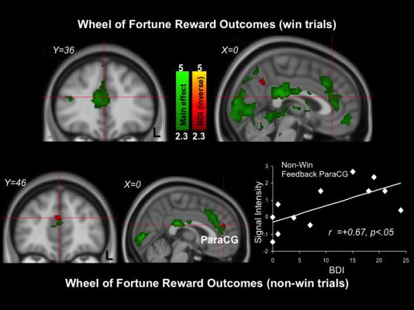 https://cdn.ncbi.nlm.nih.gov/pmc/blobs/f12c/3500241/d91be300a475/1471-244X-12-152-5.jpg