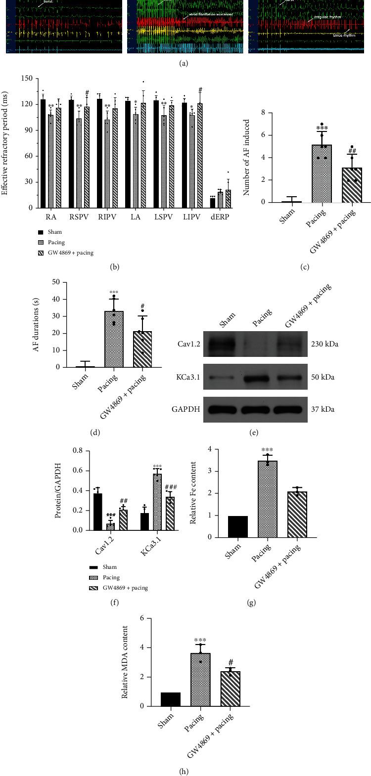 https://cdn.ncbi.nlm.nih.gov/pmc/blobs/f12d/9168132/02ade2eff9cd/OMCL2022-3961495.002.jpg
