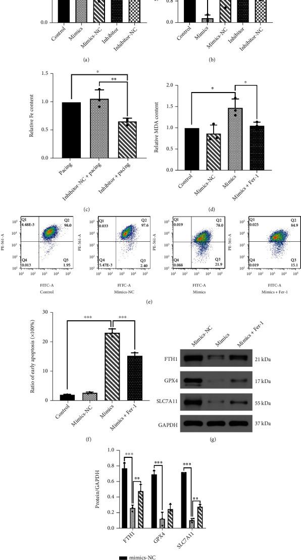 https://cdn.ncbi.nlm.nih.gov/pmc/blobs/f12d/9168132/b129f76ec89e/OMCL2022-3961495.007.jpg
