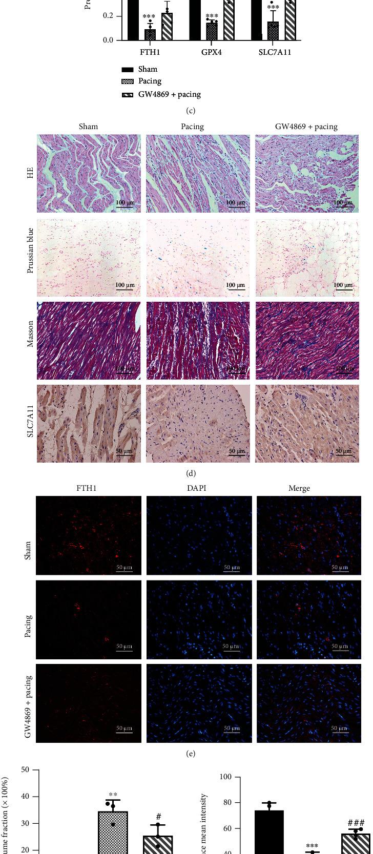 https://cdn.ncbi.nlm.nih.gov/pmc/blobs/f12d/9168132/d934c347844c/OMCL2022-3961495.003.jpg