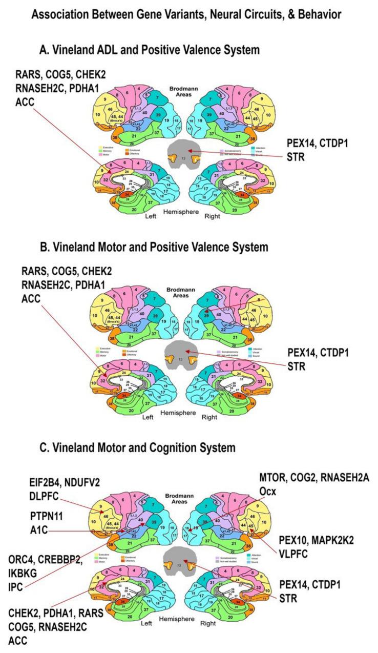 https://cdn.ncbi.nlm.nih.gov/pmc/blobs/f12d/9315816/f64e73e88d75/cells-11-02211-g004.jpg