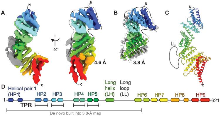 https://cdn.ncbi.nlm.nih.gov/pmc/blobs/f12f/8604404/7432cc16eb34/sciadv.abj9812-f1.jpg