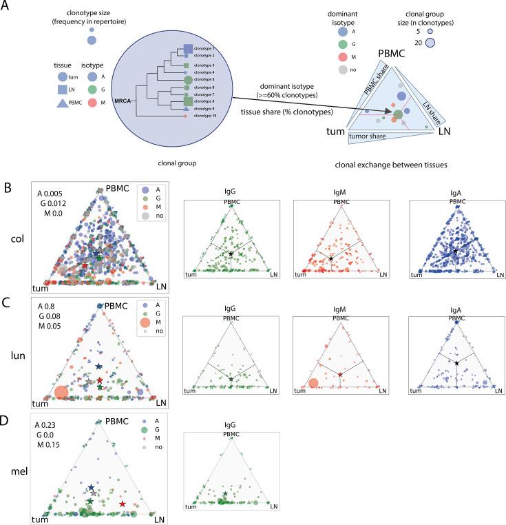 https://cdn.ncbi.nlm.nih.gov/pmc/blobs/f132/11745494/f382c1ebf02e/elife-89506-fig4.jpg
