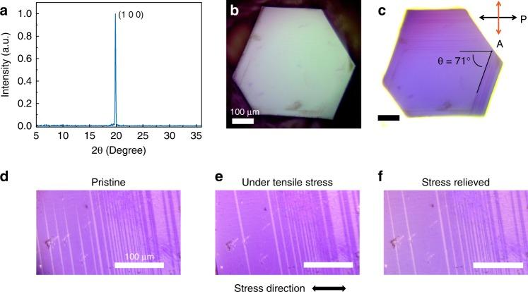 https://cdn.ncbi.nlm.nih.gov/pmc/blobs/f133/7200693/31a0c128252a/41467_2020_16075_Fig1_HTML.jpg