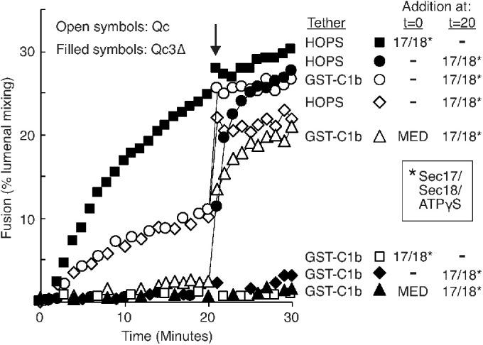 https://cdn.ncbi.nlm.nih.gov/pmc/blobs/f134/10846624/19af64dbdc60/mbc-34-ar123-g006.jpg