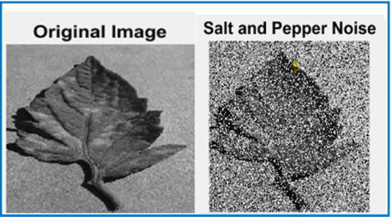 https://cdn.ncbi.nlm.nih.gov/pmc/blobs/f138/12075612/a5c9ce0b8fed/41598_2025_1466_Fig6_HTML.jpg